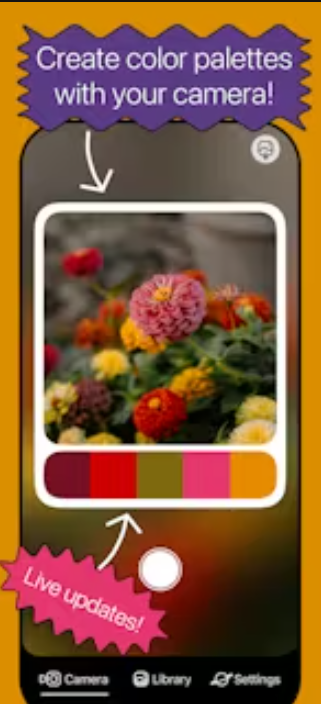 Screenshot 2024-11-30 132448.png